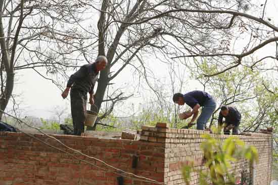 Զʱǲz6mgίƶͦʵ׶