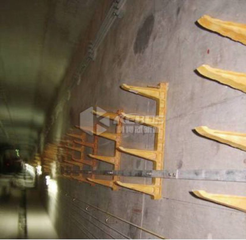 ����֧��